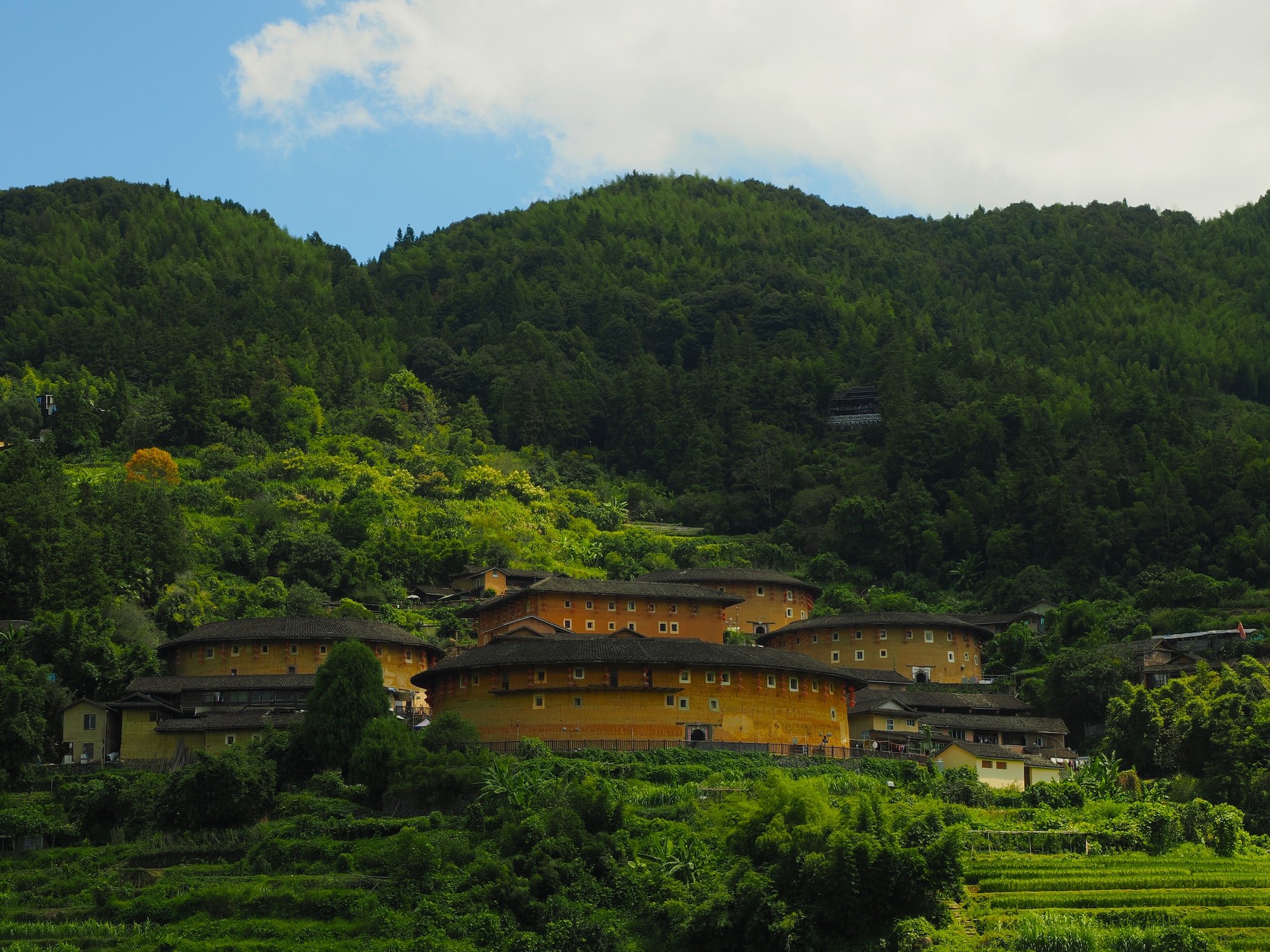Cluster of Tianluokeng Tulou buildings